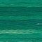 4045 Evergreen Forest