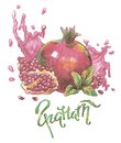 Гранатовый сок (скетч для раскрашивания)
