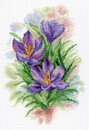 Яркие крокусы (19*14 см)